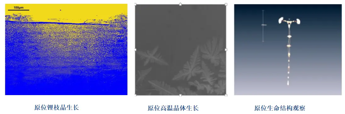 原位微米CT成像系统的应用案例：原位锂枝晶生长、原位高温晶体生长、原位生命结构观察