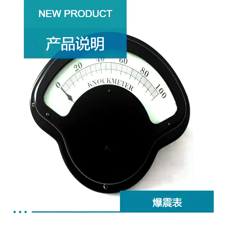 原装进口美国瓦克夏Waukesha爆震表109980B