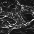 LSWP04700 美国密理博Millipore Mitex™膜滤器 / PTFE膜滤器