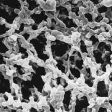 Millipore美国密理博 DAWP02500 MF-Millipore™ 膜滤器，0.65 µm 孔径 / MCE膜滤器