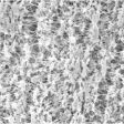 JGWP04700  美国密理博Millipore Omnipore滤膜 / PTFE膜滤器