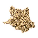 特种铂催化剂Special catalyst platinum,20g 402-810.048可用于德国耶拿Analytik jena