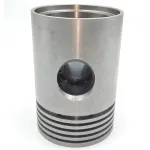 AA23204G waukesha 活塞