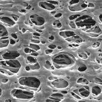 HPWP04700  美国密理博Millipore Millipore Express PLUS滤膜 / PES膜滤器