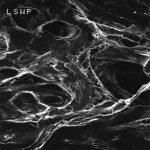 LSWP04700 美国密理博Millipore Mitex™膜滤器 / PTFE膜滤器