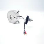 高温高压水热拉曼装置（DMHK-HPRa-250）