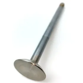 VALVE,EXHAUST排气阀