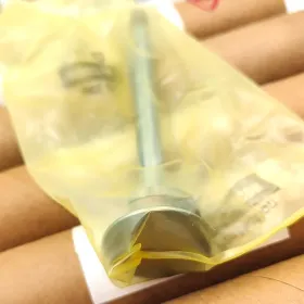 VALVE,Intake 进气阀