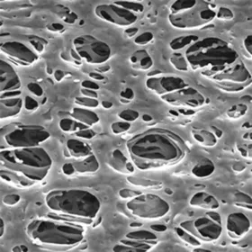 HPWP04700  美国密理博Millipore Millipore Express PLUS滤膜 / PES膜滤器