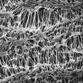 FGLP04700 美国密理博Millipore Fluoropore膜滤器 / PTFE膜滤器