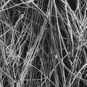 APFB04700  美国密理博Millipore 玻璃纤维膜过滤器，孔径1.0 μm / 无粘合剂的玻璃纤维滤纸