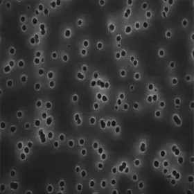 GTTP04700  美国密理博Millipore Isopore™膜滤器 / 聚碳酸酯膜过滤器