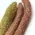 402-889.050德国耶拿原厂卤素吸收棉_铜黄铜棉 Halogen absorber filling(copper-and brass wool)