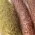 402-889.050德国耶拿原厂卤素吸收棉_铜黄铜棉 Halogen absorber filling(copper-and brass wool)