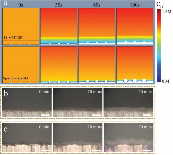 科研级高清明暗场光学显微镜的性能特点