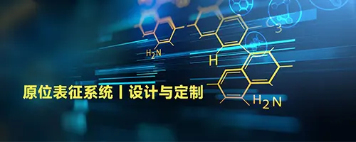 原位表征系统定制