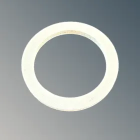 荷兰TE原装O型圈 CON102000 | 47.5×36.5×4mm 硅胶泡沫 | Xplorer分析仪专用