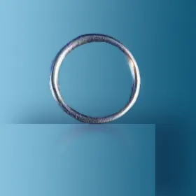 O-ring tube inlet - each 71194